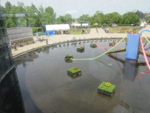 2024年5月花と緑のフェスティバル12