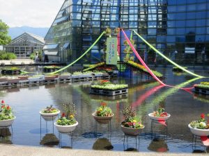 2024年5月花と緑のフェスティバル5