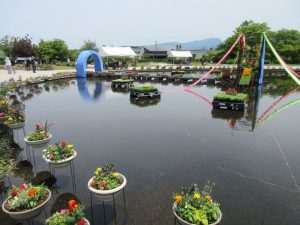 2024年5月花と緑のフェスティバル9
